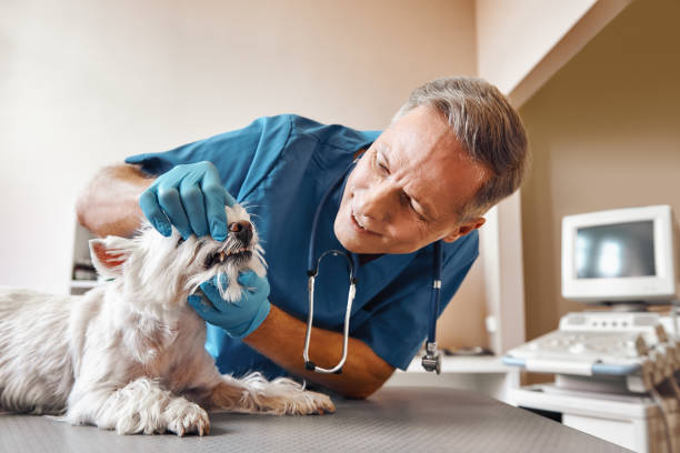 Best Emergency Dental Surgery in Keowee Key, SC